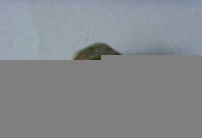 热导丝轮,过丝轮,轧辊高清图片-世界工厂网