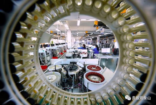 培育一批世界级集群 青岛定调 优先发展制造业